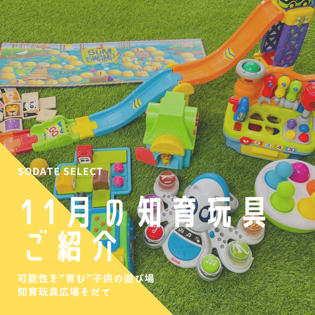 新しい知育玩具が毎月やってくる！鹿児島の子供の遊び場！知育玩具広場そだて